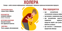 Территориальный отдел по Черноморскому и Раздольненскому районам Межрегионального управления Роспотребнадзора по Республике Крым и городу Севастополю информирует - Раздольненский район