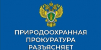 О приеме предпринимателей по вопросам исполнения природоохранного законодательства - Раздольненский район