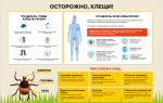 Территориальный отдел по Черноморскому и Раздольненскому районам Межрегионального управления Роспотребнадзора по Республике Крым и городу Севастополю информирует